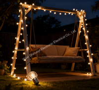 Ampoule LED G30 1W 2W de haute qualité, homologuée CE et RoHS, 220V/110V, pour guirlandes lumineuses E17, décoration de Noël en extérieur