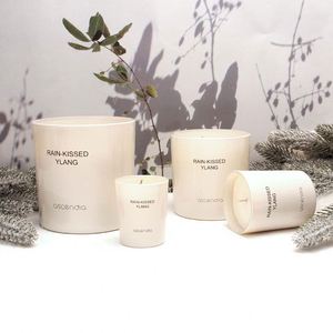 Bougie en cire de soja parfumée Ylang Ylang Ascendia Rain-Kissed dans un pot en céramique, décoration minimaliste pour la maison, bougie d'aromathérapie à 2 mèches - Product Image 2