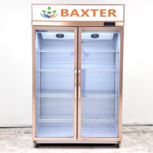 Réfrigérateur Vitrine <span class=keywords><strong>2</strong></span> Portes, Équipement de Réfrigération, Réfrigérateur à Deux <span class=keywords><strong>Battants</strong></span>, Réfrigérateur Double Porte pour Magasin - Product Image 1