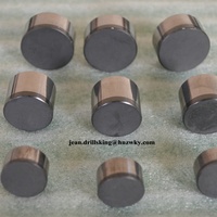 Boutons demi-PCD d'usine / Coupe-roche diamanté / Insert de coupe-roche diamanté demi-PDC