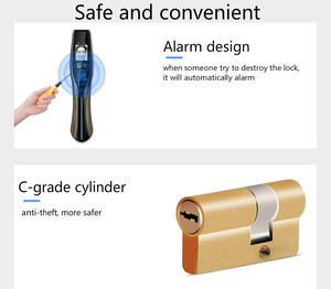 Khóa Cửa WIFI Tự Động Hoàn Toàn Bằng Ngón Tay, Khóa Thông Minh Dùng Thẻ Mật Khẩu - Product Image 6