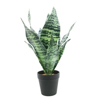 Sansevieria artificielle de 35 cm de haut, bonsaï en gros, petit bonsaï de Sansevieria
