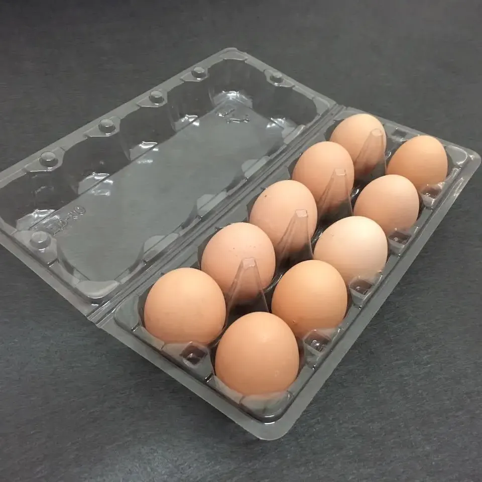 Disposable plastic PP/PET egg tray