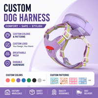 Harnais et laisse respirants pour chien avec sac de rangement amovible, anneaux en D avant et arrière pour chiens de petite et moyenne taille