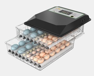 Popolare piccolo 128 incubatore di uova portatile uso della famiglia <span class=keywords><strong>Mini</strong></span> incubatore di pollame in Europa e USA - Product Image 5