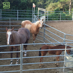 แผงกั้นม้าแบบพกพาขนาด 6 ฟุต ขายดี แผงกั้นคอกม้าทรงกลม แผงรั้วสำหรับปศุสัตว์และม้า - Product Image 1