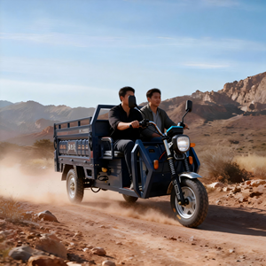 1000W Open Body Factory Supply Big Size Strong Motor 3 Wheel Tricycles 200-300kg Payload 50-70km <b>Range</b> for Use - Product Image 1