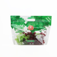 Op maat bedrukte OPP/CPP LDPE geventileerde verpakkingen voor druiven, plastic zakken met handvat, ziplock zakken voor fruit