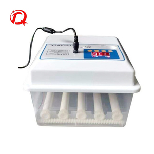 Máy Ấp Trứng AC /DC 12V Hoàn Toàn Tự Động Điều Khiển Lồng Ấp Gia Cầm Trứng Để Bán - Product Image 1