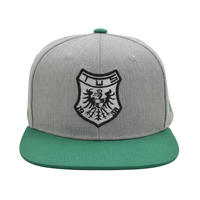 Gorra Snapback Personalizada de 6 Paneles de Algodón de Alta Calidad con Logotipo Bordado en 3D, para Viajes, Moda, Deportes Casuales al Aire Libre