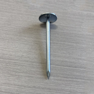 Clavos Comunes de Acero para <span class=keywords><strong>Cemento</strong></span> de Grado Industrial, Pulidos, Lisos, de Cabeza Plana, Punta Afilada, Personalizables, para Uso en Construcción - Product Image 5