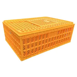 Competitive Priced Chicken Duck Pigeon Poultry Farm Transport Cage Turnover Basket Breeding Equipment for Retail Industries