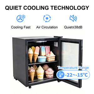 Congelador Portátil Personalizado con Puerta de Vidrio, Mini Refrigerador Vertical para Almacenamiento de Helados en el Hogar o Comercial - Product Image 2