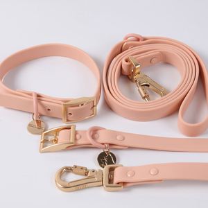 Conjunto de Collar y Correa para Perro con Etiqueta de Identificación de PVC Personalizada, Impermeable, Cómodo para Caminar, Colorido, Compras al por Mayor - Product Image 4