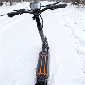 Scooter électrique 3 en 1 pour adultes, haute qualité, 800 W, roues <span class=keywords><strong>de</strong></span> 11 pouces, batterie au lithium, type intelligent électronique pour le snowboard - Product Image 5