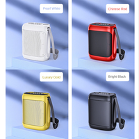 Speaker Mini YS220 Strap Murah 10W Harga Pabrik Pengubah Nada Suara Mikrofon Ganda Karaoke PA