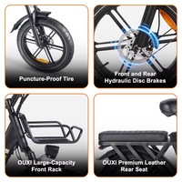 Vélo électrique de ville et de loisirs FLM Q11 20 pouces à cadre bas, 48V 250W, frein hydraulique, pour adulte