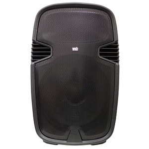 ลำโพงเวทีแบบ Passive ขนาด 15 นิ้ว 100 วัตต์ 4 โอห์ม เสียงระดับมืออาชีพ ผลิตในอิตาลี - Product Image 1
