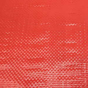 <span class=keywords><strong>Pergola</strong></span> extérieure enduite de PE de couverture de bâche bleue UV imperméable commerciale pour des garçons et des filles - Product Image 3