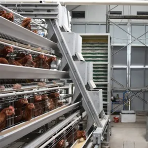 Best Sale Galvanized A Frame Automatic Layer Chicken Cages Battery Cages