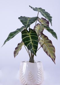 Haute Assurance Artificielle Verdure Eau <span class=keywords><strong>Arum</strong></span> Feuille <span class=keywords><strong>Pot</strong></span> <span class=keywords><strong>En</strong></span> Céramique Décoration De Bureau À Domicile avec Des Branches De Fleurs Ornement Extérieur - Product Image 6