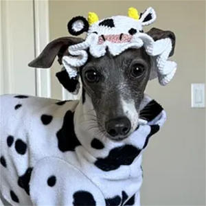 Großhandel Haustierzubehör Lustiger Cartoon-Frosch Haustierhut Hundekostüm Gehäkelter Hals- und Ohrenwärmer Gestrickter Snood für Teddy-Hunde und Katzen - Product Image 4