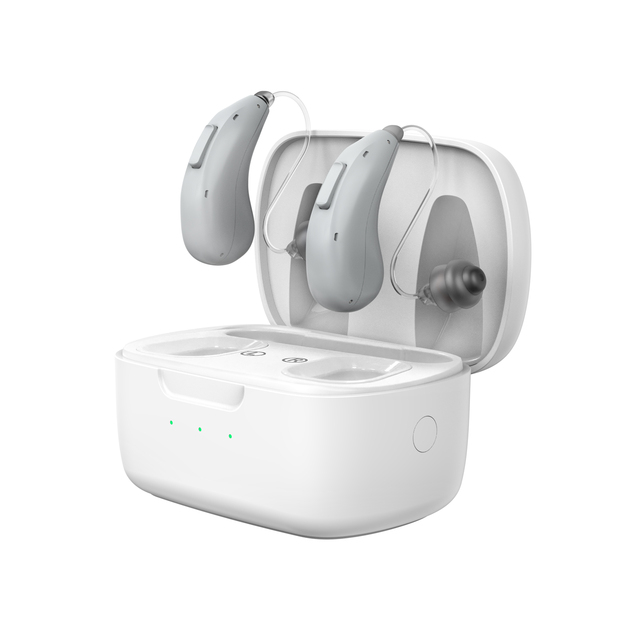 Advanced 32 Channels Programmable Rechargeable Hearing Aids for Seniors Noise Reduction Technology Digital Processing Class II