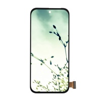 Écran LCD de remplacement pour téléphone portable Google Pixel 9 6,3 pouces avec cadre, garantie 1 an, testé à 100 %