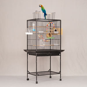 Fabrika toptan kuş kafesi Gaiola De passlarge Coleiro kuş evi için büyük passlarge De Vidro el yapımı Metal kuş kafesleri - Product Image 4