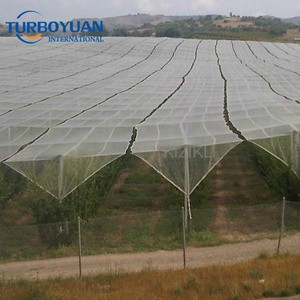 <span class=keywords><strong>Filet</strong></span> <span class=keywords><strong>de</strong></span> <span class=keywords><strong>protection</strong></span> des plantes en vinyle, <span class=keywords><strong>filet</strong></span> blanc, transparent, anti-grêle, <span class=keywords><strong>pour</strong></span> les orgers, en chine - Product Image 1