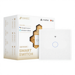 单路 WiFi 智能灯按钮开关 需要中性线 接地 Alexa Google Assistant 250V 10A - Product Image 1