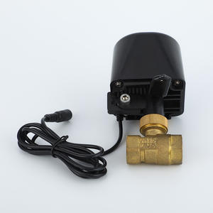 Brass Internal Thread Connection Stainless Steel Two-Way Solenoid <b>Valve</b> Switch Type Proportional Integral <b>Valve</b> <b>Control</b> <b>Valves</b> - Product Image 1