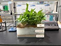 Agent de rétention d'eau très efficace pour la conservation de l'humidité du sol et l'amélioration de la croissance des plantes fabriqué en Chine