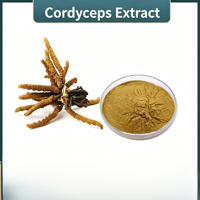 Extrait de Cordyceps Hericium Pur de Haute Qualité en Poudre, Complément Alimentaire de Qualité Alimentaire Certifié HPLC Halal en Bouteille/Fût