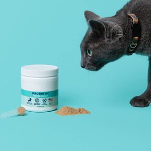 Suplemento Nutricional Natural <span class=keywords><strong>para</strong></span> Mascotas <span class=keywords><strong>de</strong></span> Marca Privada OEM ODM, Polvo Dental <span class=keywords><strong>para</strong></span> Mascotas que Favorece la Higiene Dental y Ayuda a Mantener <span class=keywords><strong>el</strong></span> <span class=keywords><strong>Aliento</strong></span> Fresco - Product Image 4