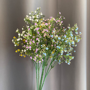 Pianta Decorativa da Giardino Babysbreath a 150 Steli per Rami Alti a Prezzo Competitivo - Product Image 2