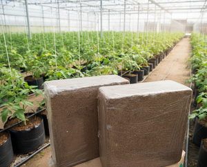 Bloque de Fibra de Coco de 5 kg, 30 cm x 30 cm x 12-15 cm de Alto, Substrato de Coco Premium con Alto Contenido de EC para Cultivos Hidropónicos y Viveros con Alta Tasa de Germinación - Product Image 2