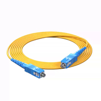 Cable de Fibra Óptica SC-SC 3M Personalizado OEM, Monomodo G652D LSZH PVC 5G, Cable de Conexión de Fibra Óptica para Redes de Telecomunicaciones FTTH
