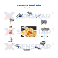 Frites En Frites Frites Friet Lijn Volledig Automatisch 1000Kg/U 1/4 Bevroren Vinger Aardappel Frietjes Maken Machine