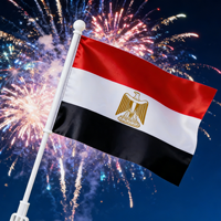 2026 En gros, Logo personnalisé, Égypte, Drapeau de neuf pays africains, Décoration de la Fête nationale, Polyester double face, Œillets en laiton