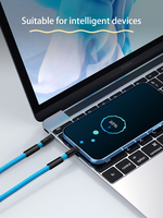 Cordon de charge rapide 2-en-1 réglable en nylon tressé avec lanière bandoulière et câble USB Type-C du fabricant d'origine