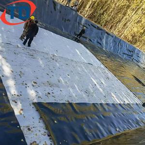 Geomembrana Negra para Estanques de 45 Mil, HDPE, para Piscifactorías, Membrana para Retención de Agua para Riego, Geomembrana de 1mm 2mm - Product Image 5