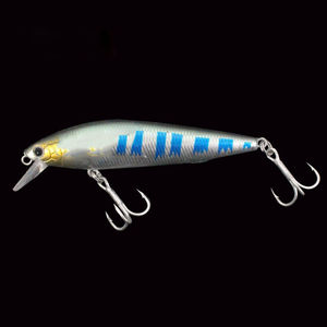 Nouveau Style Japan japon leurre dur appât de pêche en eau salée leurre méné flottant lent pour bar Pesca Esche - Product Image 6