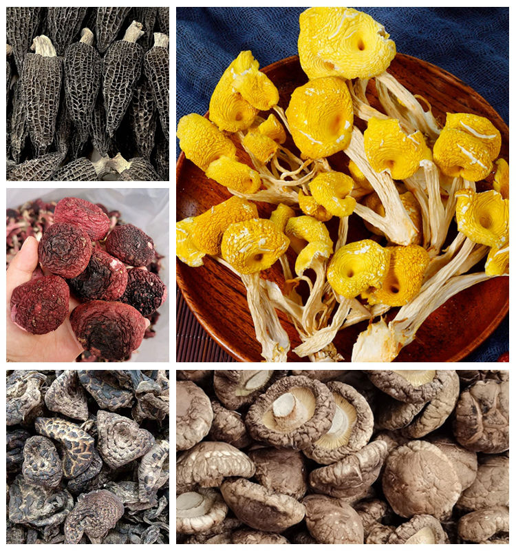 mushroom　0120 Pieces and Stems Mushrooms 4 oz (Pack of 12) | MW Polar