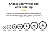 Roue de moteur de moyeu de vélo électrique de 26 pouces 36V 250W pour le kit de conversion de vélo électrique LVBU KN20S