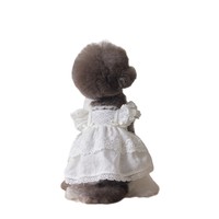 Vêtements pour animaux de compagnie, chien et chat, printemps été, jupe en dentelle en coton, Marzis, petit chien, vente en gros, 2025
