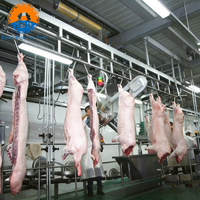 Solution clé en main pour abattoir de porcs : du concept à la mise en service, projet complet d'abattoir de porcs, équipement au prix d'usine
