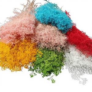 ดอกยิปโซฟิลลา (ดอกยิปโซ) แห้ง ประดิษฐ์ด้วยมือ สวยงาม น้ำหนัก 50 กรัม สำหรับตกแต่งโต๊ะยาว งานวันขอบคุณพระเจ้า และตกแต่งบ้าน ลดราคาจากโรงงาน - Product Image 1