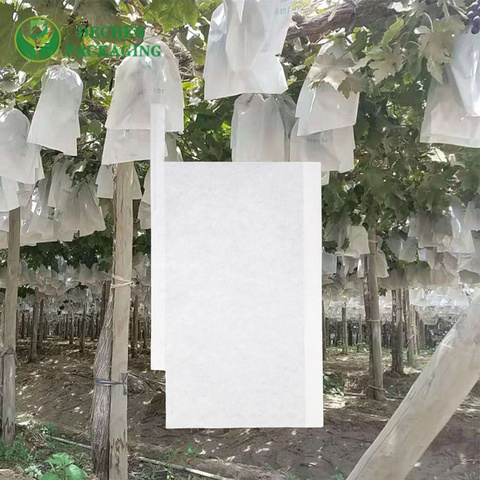 Cheap Mango Paper Bag with Budget Mango Protection Bag - Affordable & Functional Cheap Mango Paper Bag with Budget Mango Protection Bag - Affordable & Functional