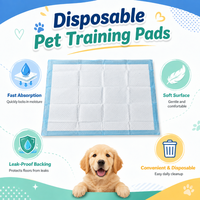 Tapis d'entraînement jetables personnalisés pour animaux de compagnie, haute absorption, tapis absorbants pour chien, anti-fuites, séchage rapide, fourniture d'usine OEM ODM